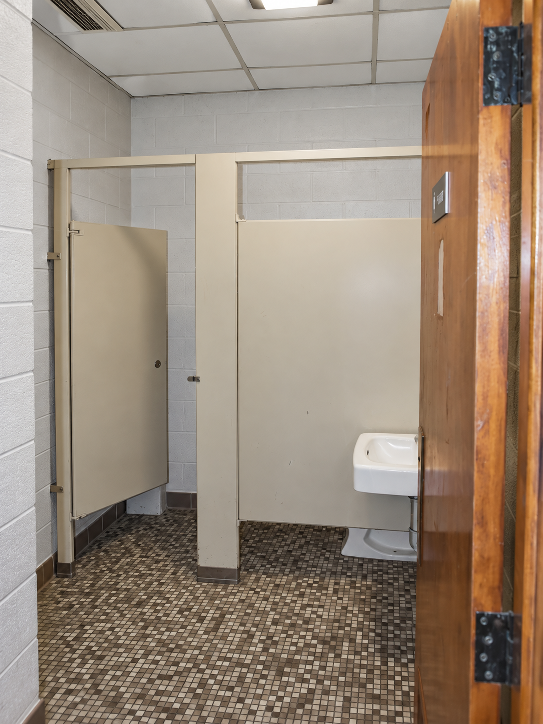 Bathroom with beige partitions, wood door on the right, ceiling light and mosaic flooring
