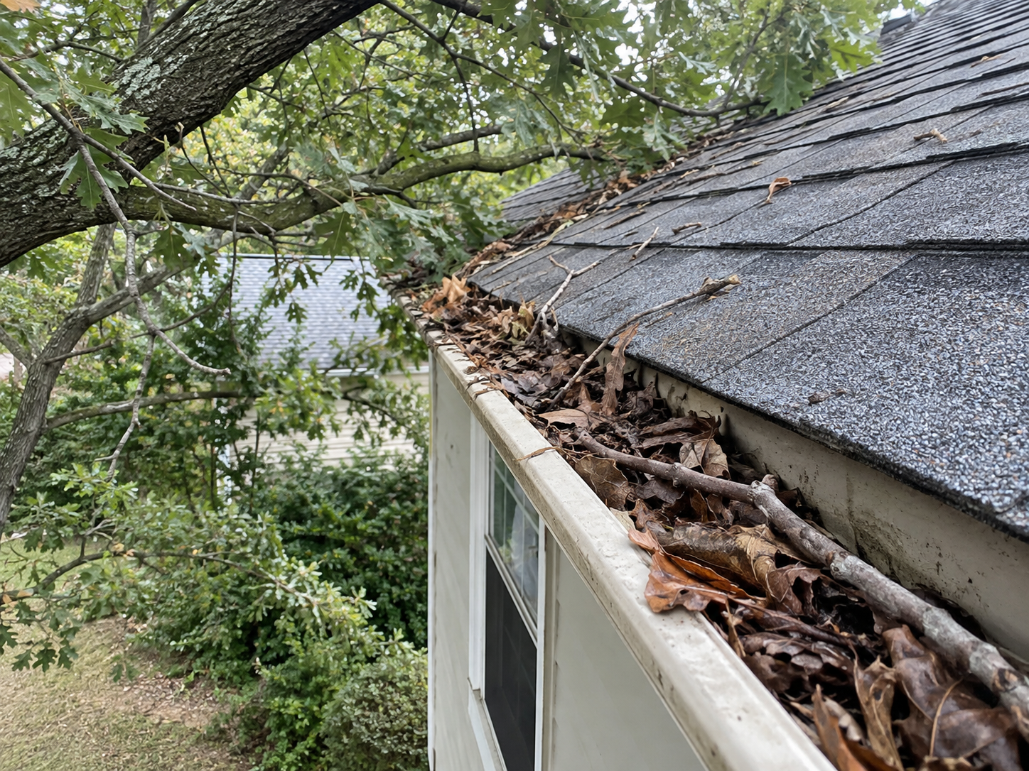 Reference photo of a clogged gutter holding standing water